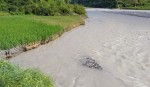 इन्द्रावती नदीले खेत कटान